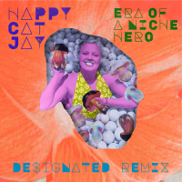 Era of a Niche Hero (De$ignated Remix) (Single)