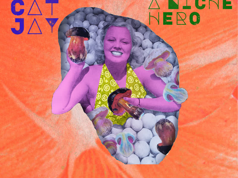 Era of a Niche Hero (De$ignated Remix) (Single)