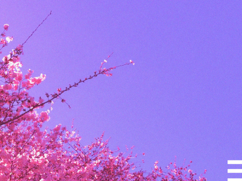 Sorrow Doesn't Resurrect (Single)