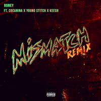 Mismatch (Remix) (Single)