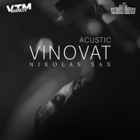 Vinovat (Acustic) (Single)