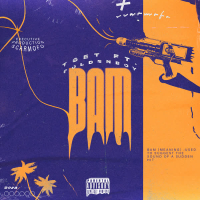 BAM (Single)