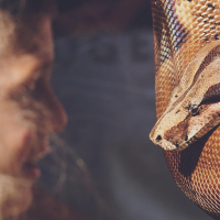 Snake Venom (Single)