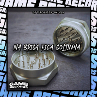 Na Brisa Fica Soltinha (Single)
