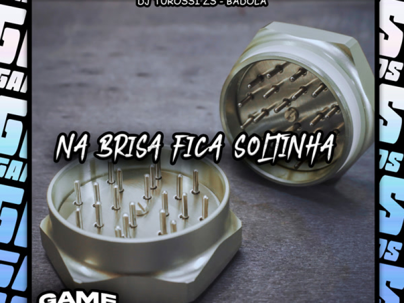 Na Brisa Fica Soltinha (Single)
