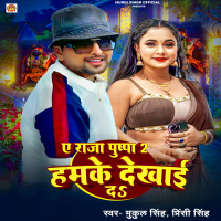 A Raja Pushpa 2 Hamke Dekhai Da (Single)