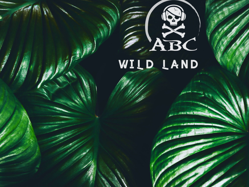 Wild Land (EP)