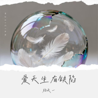 爱天生有缺陷 (Single)