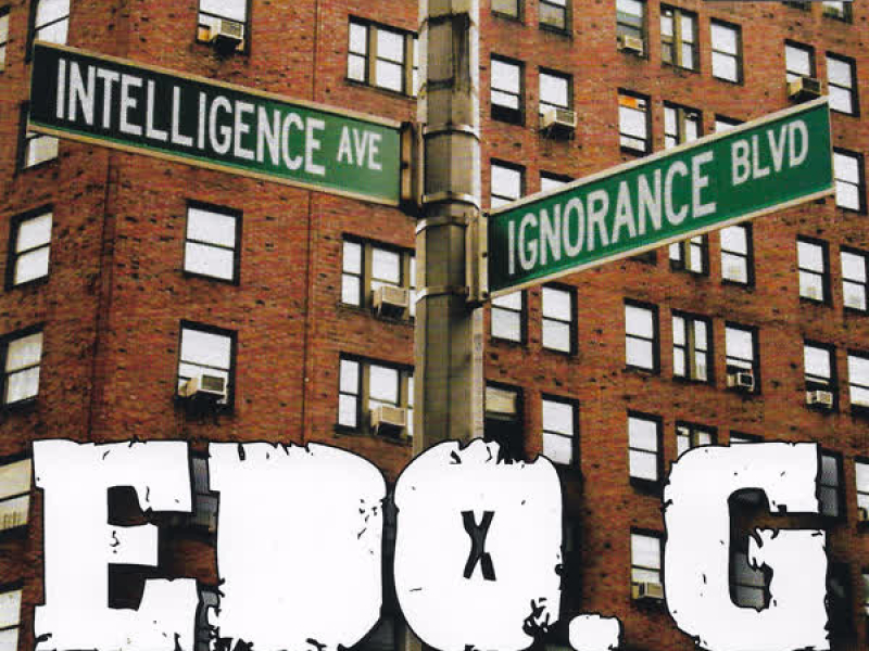 Intelligence & Ignorance