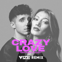 Crazy Love (VIZE Remix) (Single)