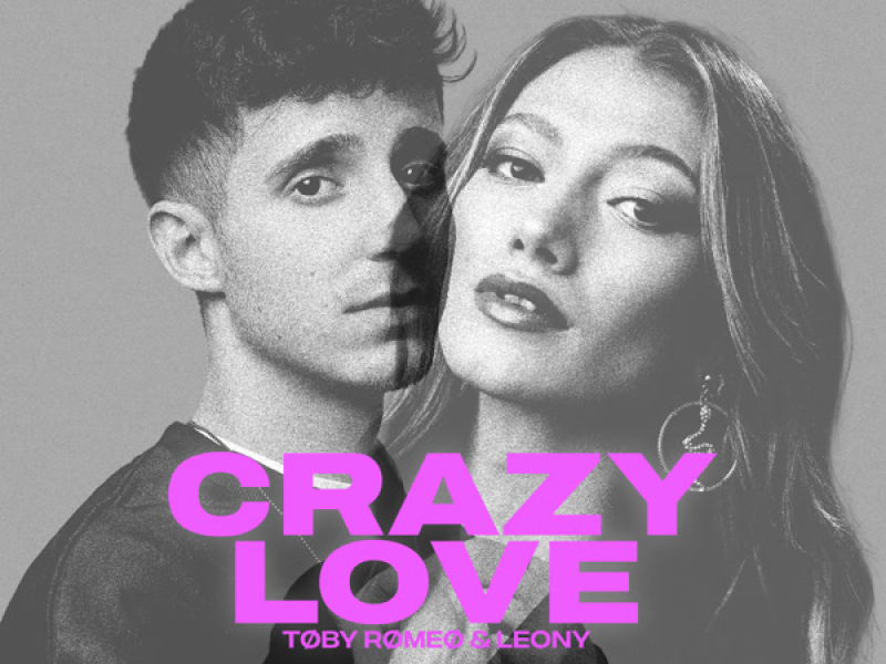 Crazy Love (VIZE Remix) (Single)