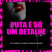 Puta é Só um detalhe ( Remix de Arrochadeira ) (Single)