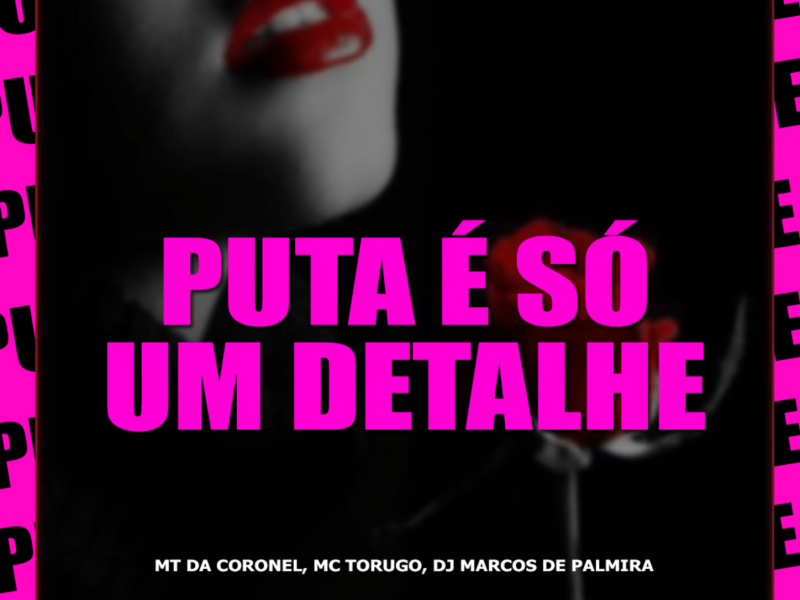 Puta é Só um detalhe ( Remix de Arrochadeira ) (Single)