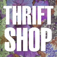 Thrift Shop (EP)