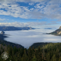 Ocean Of Emotions (Single)