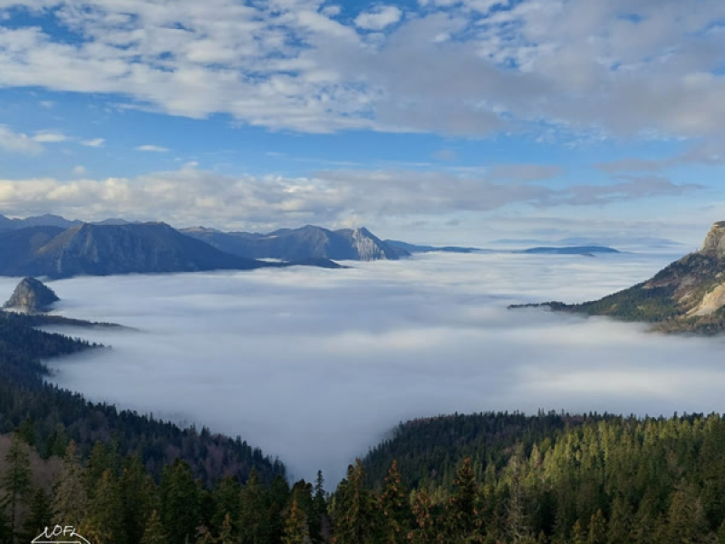 Ocean Of Emotions (Single)