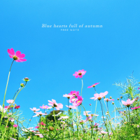 A blue heart full autumn (Single)