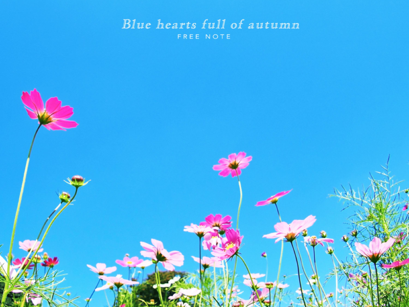 A blue heart full autumn (Single)