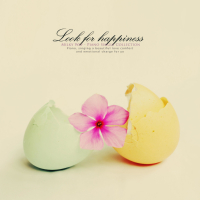 Find happiness (Single)