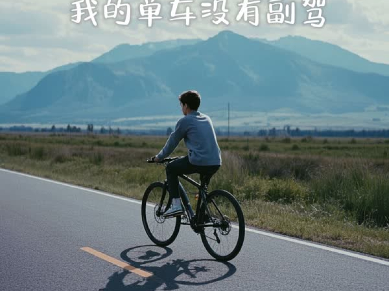 我的单车没有副驾 (Single)