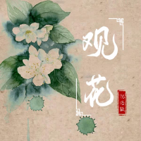 Ngắm Hoa / 观花 (Single)