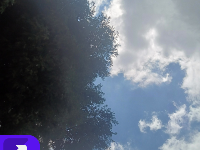 最后还是不能相见 (Single)