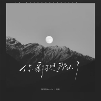 你翻过那山了 (Single)