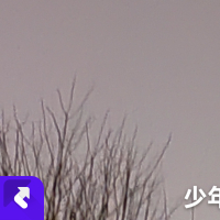 从此世间再无那少年 (Single)