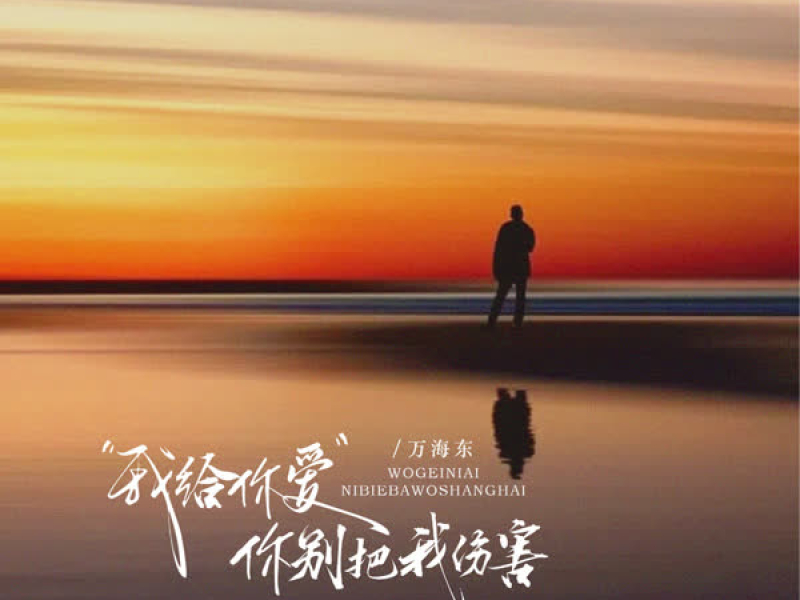 我给你爱你别把我伤害 (EP)