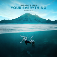 Your Everything (Camero Edit) (Single)