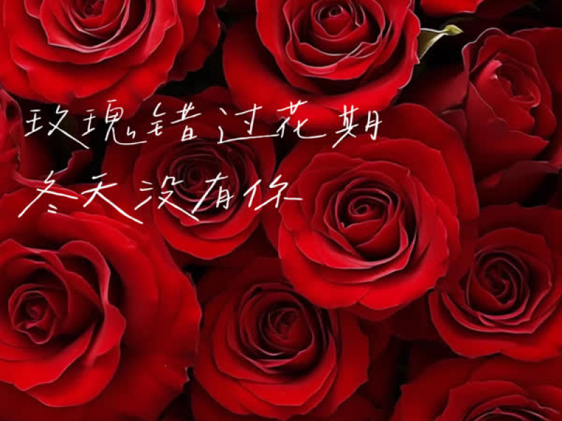 玫瑰错过花期 冬天没有你 (Single)