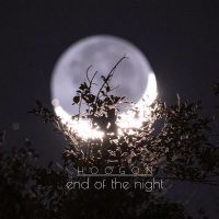 end of the night (Single)