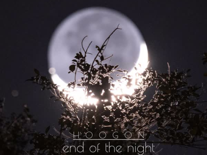 end of the night (Single)