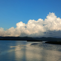 I'd kill on your wish (Single)