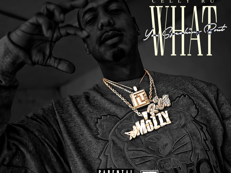 What You Speakin Bout (Single)