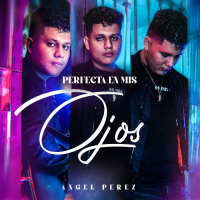 Perfecta En Mis Ojos (Single)