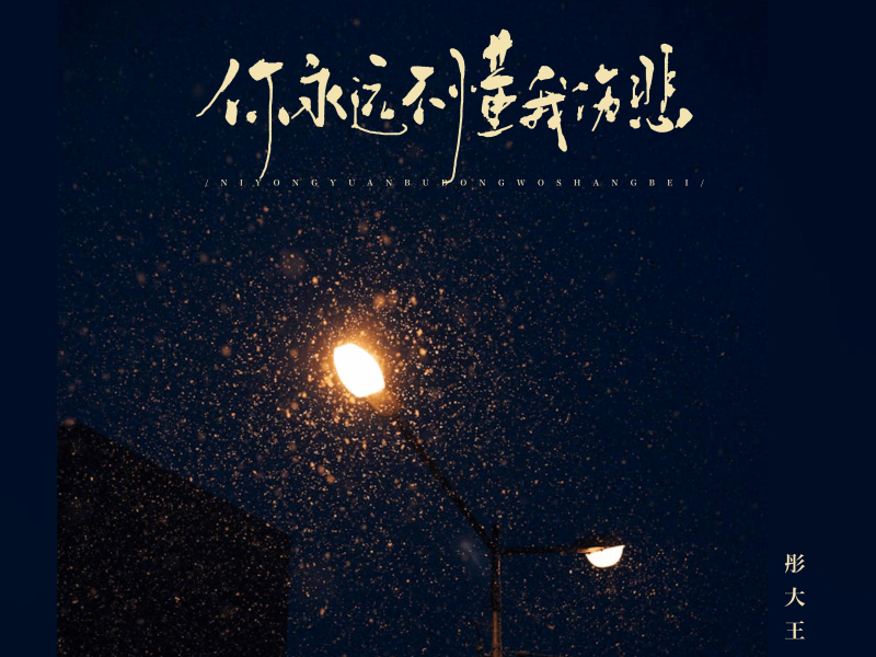 你永远不懂我伤悲 (Single)