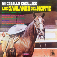 Mi Caballo Ensillado