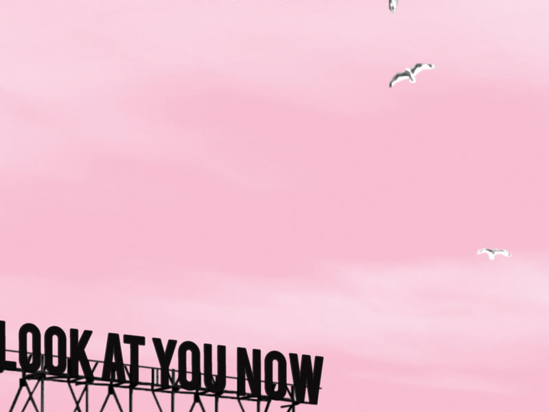 Look At You Now (Single)