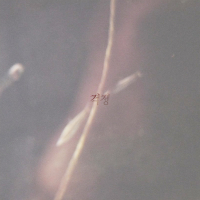 Worry (feat. earip) (Single)