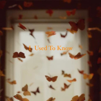I Used To Know (Single)