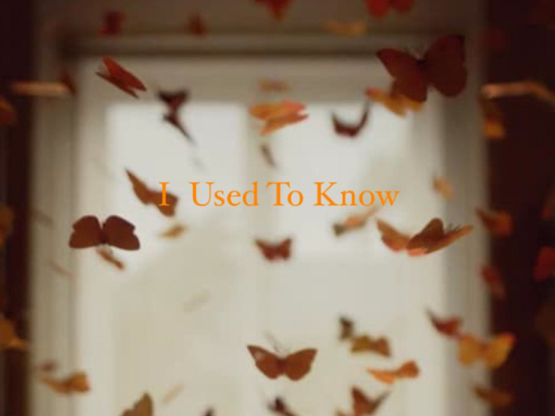 I Used To Know (Single)
