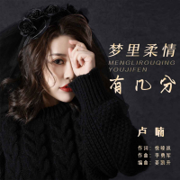 梦里柔情有几分 (EP)