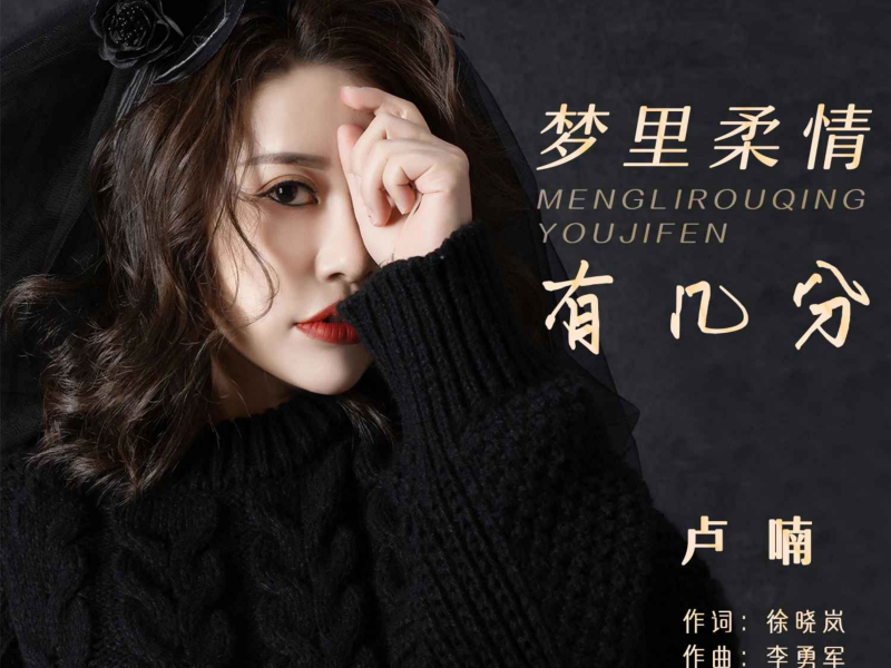 梦里柔情有几分 (EP)