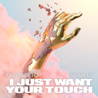 I Just Want Your Touch (Single)