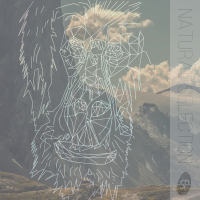 Natural Selection (Single)