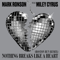Nothing Breaks Like a Heart (Boston Bun Remix) (Single)