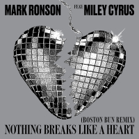 Nothing Breaks Like a Heart (Boston Bun Remix) (Single)