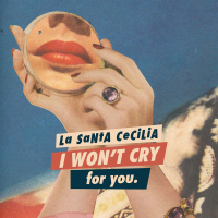I Won't Cry For You (Single)