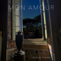 Stille Storm (Single)